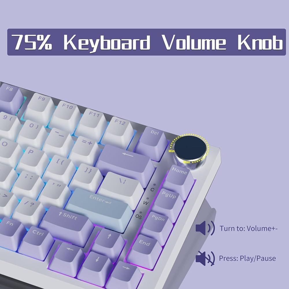 Amazon.in: Buy Lomiluskr AJAZZ AK820 Mechanical Keyboard with RGB
